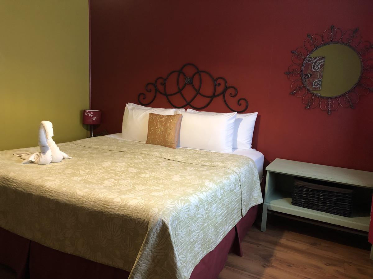 Motel The Rex At 2*