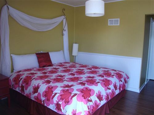 The Rex At Motel 2*